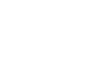 e-mærket logo - dippi er e-mærket